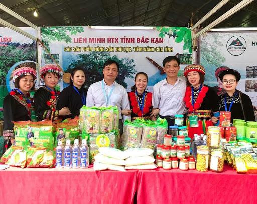 Ảnh minh họa: baobackan.org.vn