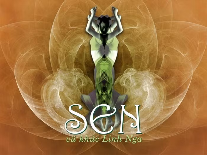 Linh Nga và liveshow Sen thành công vào năm 2011. Ảnh: Nhân vật cung cấp