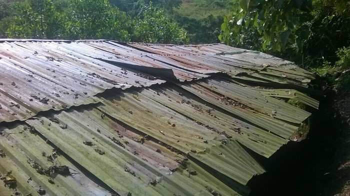 Những mái tôn, mái lá tạm làm ám ảnh các thầy cô giáo, học sinh mỗi khi mưa về