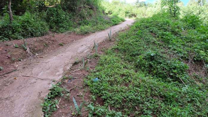 Con đường mà các thầy cô tự làm mong cho các con đi học không bị trượt ngã khi ngày mưa Con đường mà các thầy cô tự làm mong cho các con đi học không bị trượt ngã khi ngày mưa