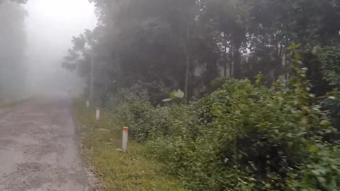 Đường vào Hô Củn phải đi qua những cánh rừng không bóng người, chỉ có bóng sương mù kín đường