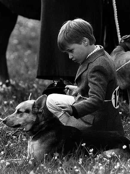 Chơi đùa cùng chú chó cưng Chơi đùa cùng chú chó cưng