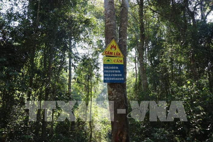 Ảnh minh họa: TTXVN Ảnh minh họa: TTXVN