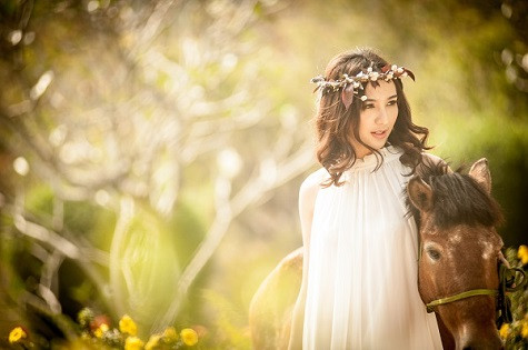 Khép lại năm 2013 có thể thấy đây là năm đánh dấu những bước tiến của Ngọc Diễm trên con đường showbiz cũng như kinh doanh.