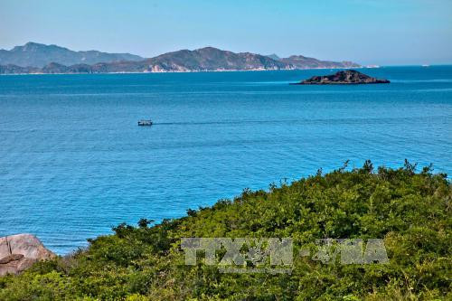 Ảnh minh họa: TTXVN Ảnh minh họa: TTXVN