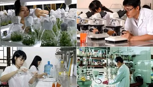 Ảnh minh họa: baochinhphu.vn