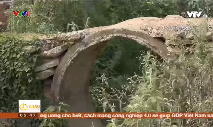 Ảnh minh họa: VTV