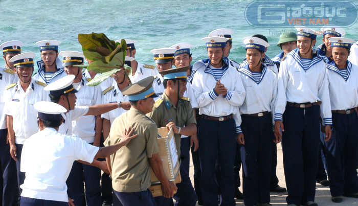 Cây bàng lá vuông, loài cây chịu đựng được nắng, gió khắt nghiệt ở Trường Sa, vừa được mang ra từ đất liền.