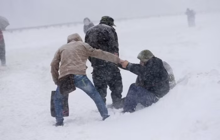 Vực nhau dậy đi tiếp về nơi tránh rét Vực nhau dậy đi tiếp về nơi tránh rét