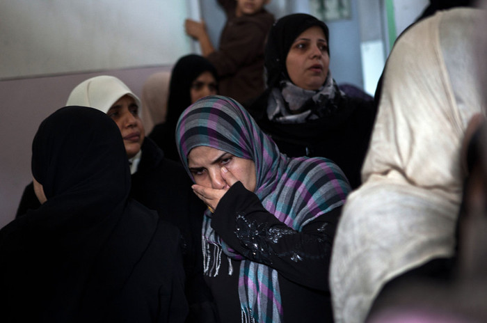 Bàng hoàng Bàng hoàng