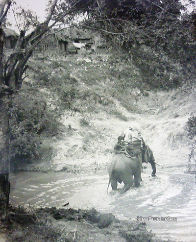 Một con voi đưa người qua suối Lạch về bản. Một con voi đưa người qua suối Lạch về bản.