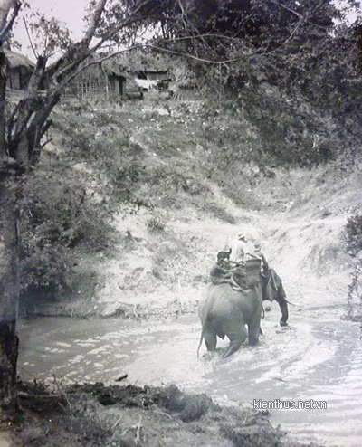 Một con voi đưa người qua suối Lạch về bản.