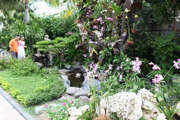 Với những ai có thú chơi tao nhã thì vườn lan tại khu công viên nước sẽ là nơi lý tưởng để tận hưởng một khoảng không gian mát dịu và chiêm ngưỡng những loài hoa quý tộc đủ màu.