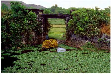 Người nông dân chở những bó rơm bằng chiếc thuyền nhỏ ở vùng nông thôn của Huế. Tôi chụp bức ảnh này từ một chiếc xe jeep, khi chúng tôi đi trên Quốc lộ 1.