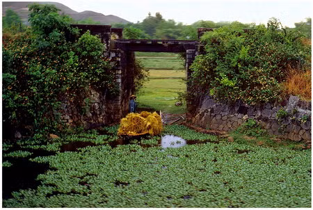 Người nông dân chở những bó rơm bằng chiếc thuyền nhỏ ở vùng nông thôn của Huế. Tôi chụp bức ảnh này từ một chiếc xe jeep, khi chúng tôi đi trên Quốc lộ 1.