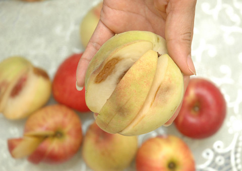 Vào mùa hè, hoa quả nhanh bị hỏng, thối. Vào mùa hè, hoa quả nhanh bị hỏng, thối.