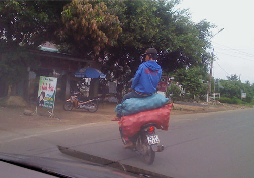 Chụp tại TP. Buôn Mê Thuột - tỉnh Đắc Lắc. Ảnh: Vũ Trọng Phúc. Chụp tại TP. Buôn Mê Thuột - tỉnh Đắc Lắc. Ảnh: Vũ Trọng Phúc.
