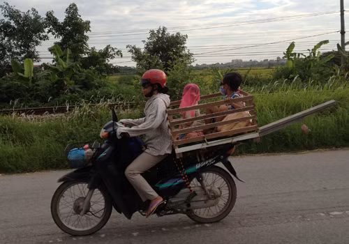 "Nhà trẻ" di động. Ảnh: Phung Viet Anh.