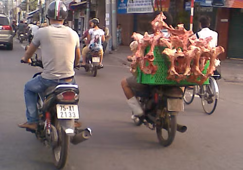 Xương bò "made in Sài Gòn". Ảnh: Nguyễn Đăng Nguyên. Xương bò "made in Sài Gòn". Ảnh: Nguyễn Đăng Nguyên.