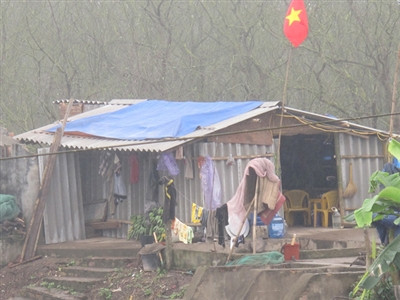 Ngôi nhà vợ con ông Vươn dựng tạm để ở. Ảnh: P.D/ Tiền Phong. Ngôi nhà vợ con ông Vươn dựng tạm để ở. Ảnh: P.D/ Tiền Phong.