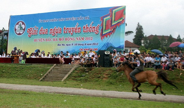 Tất cả ngựa đua đều là ngựa thồ, vốn được đồng bào dùng để thồ hàng hóa, làm phương tiện đi lại trong cuộc sống thường ngày. Nài ngựa cũng là những nông dân vùng cao, hàng ngày vốn chỉ quen với công việc ruộng nương. Đây cũng là yếu tố khiến giải đua ngựa truyền thống huyện Bắc Hà có sức hút đặc biệt đối với du khách. Tất cả ngựa đua đều là ngựa thồ, vốn được đồng bào dùng để thồ hàng hóa, làm phương tiện đi lại trong cuộc sống thường ngày. Nài ngựa cũng là những nông dân vùng cao, hàng ngày vốn chỉ quen với công việc ruộng nương. Đây cũng là yếu tố khiến giải đua ngựa truyền thống huyện Bắc Hà có sức hút đặc biệt đối với du khách.