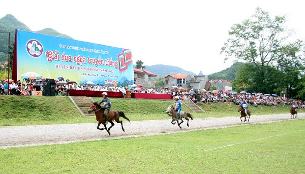 Sau 16 lượt đua đã lựa chọn được 32 ngựa vào thi đấu vòng bán kết. Huyện Bắc Hà có tới 27 ngựa lọt vào vòng bán kết (xã Na Hối: 10 ngựa; xã Tả Van Chư: 8 ngựa; xã Bản Phố: 5 ngựa; xã Tà Chải: 2 ngựa; xã Hoàng Thu Phố: 1 ngựa; xã Thải Giàng Phố: 1 ngựa), huyện Si Ma Cai có 5 ngựa tham gia giải thì có 3 ngựa lọt vào bán kết; huyện Xín Mần (Hà Giang) có 3 ngựa tham gia thì có 2 ngựa lọt vào bán kết. Sau 16 lượt đua đã lựa chọn được 32 ngựa vào thi đấu vòng bán kết. Huyện Bắc Hà có tới 27 ngựa lọt vào vòng bán kết (xã Na Hối: 10 ngựa; xã Tả Van Chư: 8 ngựa; xã Bản Phố: 5 ngựa; xã Tà Chải: 2 ngựa; xã Hoàng Thu Phố: 1 ngựa; xã Thải Giàng Phố: 1 ngựa), huyện Si Ma Cai có 5 ngựa tham gia giải thì có 3 ngựa lọt vào bán kết; huyện Xín Mần (Hà Giang) có 3 ngựa tham gia thì có 2 ngựa lọt vào bán kết.
