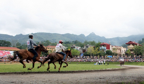 Đúng như dự đoán của nhiều người, ngựa đua của các xã thuộc huyện chủ nhà Bắc Hà như Na Hối, Bản Phố, Tả Van Chư, Tà Chải chiếm ưu thế chút ít mà nguyên nhân quan trọng là trước khi diễn ra giải đua, nài đã cho ngựa đến làm quen với đường đua. Bên cạnh đó, nhiều ngựa còn được nài dẫn đi “dạo phố” cho quen với không khí sôi động nơi đông người. Đúng như dự đoán của nhiều người, ngựa đua của các xã thuộc huyện chủ nhà Bắc Hà như Na Hối, Bản Phố, Tả Van Chư, Tà Chải chiếm ưu thế chút ít mà nguyên nhân quan trọng là trước khi diễn ra giải đua, nài đã cho ngựa đến làm quen với đường đua. Bên cạnh đó, nhiều ngựa còn được nài dẫn đi “dạo phố” cho quen với không khí sôi động nơi đông người.