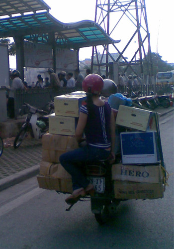 Tư thế ngồi bấp bênh. Ảnh: Đinh Quang Hung.