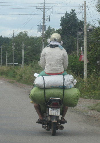 Chụp tại xã Tân Thành, huyện Tân Uyên, tỉnh Bình Dương. Ảnh: Quang Quý. Chụp tại xã Tân Thành, huyện Tân Uyên, tỉnh Bình Dương. Ảnh: Quang Quý.