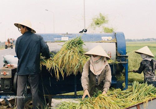 Liên tục không ngơi tay.