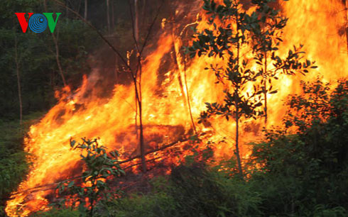 Ảnh minh họa: VOV Ảnh minh họa: VOV