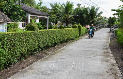 (Ảnh minh họa: Báo Tin tức) (Ảnh minh họa: Báo Tin tức)