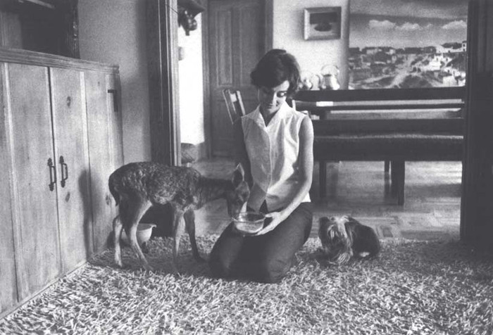 Khoảnh khắc đời thường khi chăm sóc động vật ở nhà