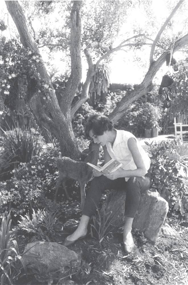 Đọc sách và hòa mình giữa thiên nhiên