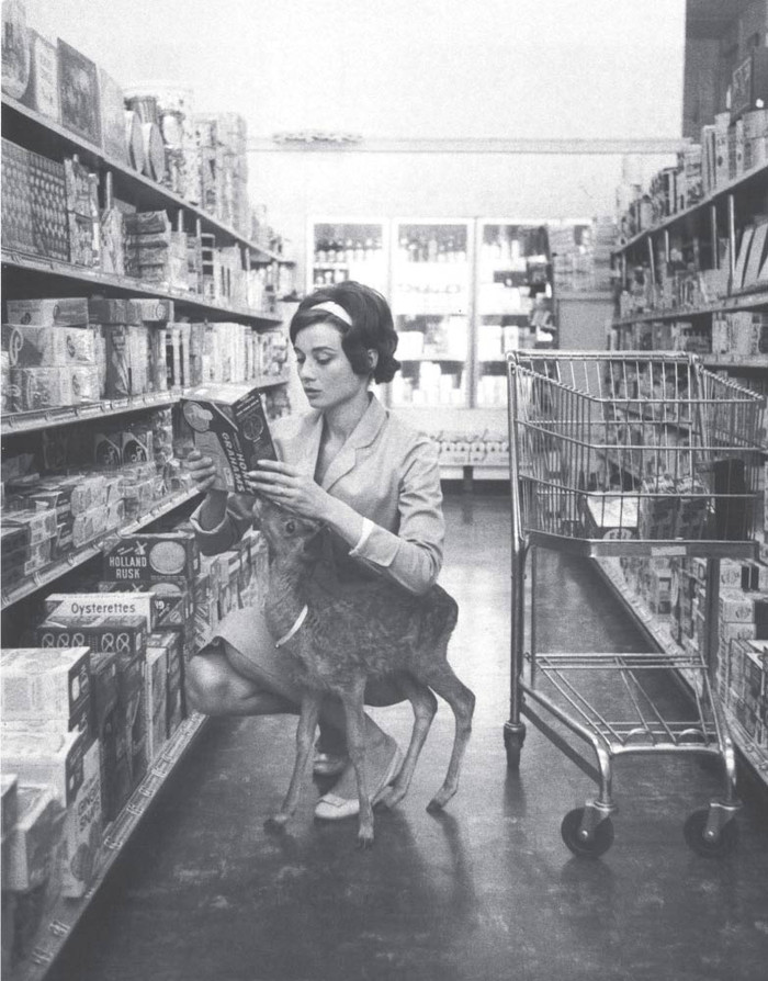 Cô chủ xinh đẹp đi siêu thị cùng thú cưng của mình