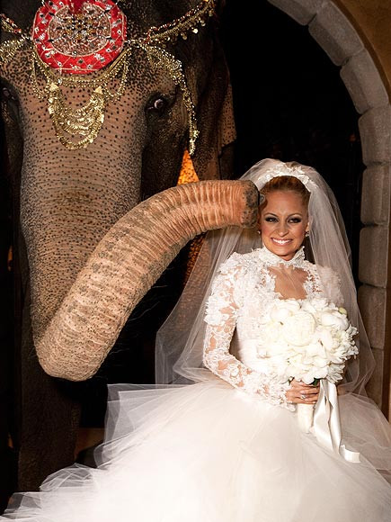 Đám cưới của Nicole Richie và Joel Madden lại có xự xuất hiện đặc biệt của một chú voi trong phòng cô dâu làm quà cưới cho họ. Đám cưới của Nicole Richie và Joel Madden lại có xự xuất hiện đặc biệt của một chú voi trong phòng cô dâu làm quà cưới cho họ.