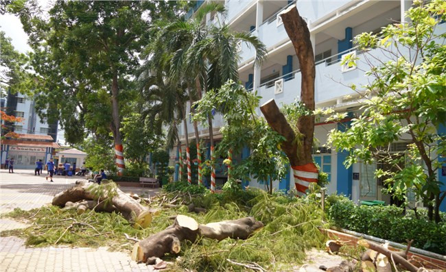 Dạy học sinh bảo vệ môi trường như thế nào? Ảnh: VOV Dạy học sinh bảo vệ môi trường như thế nào? Ảnh: VOV