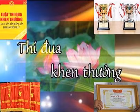 Hội đồng họp định kỳ 06 tháng một lần để đánh giá công tác của Hội đồng, tổng hợp tình hình phong trào thi đua và công tác khen thưởng của cả nước.