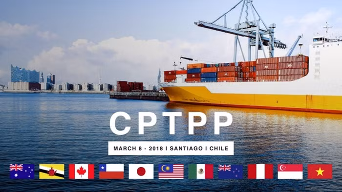 Ảnh minh họa: VGP