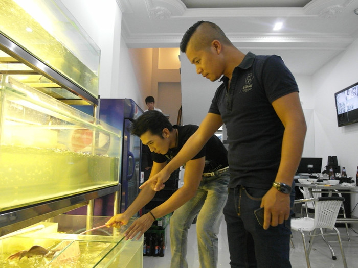 Một vị khách đang chọn cá trong hồ. Một vị khách đang chọn cá trong hồ.