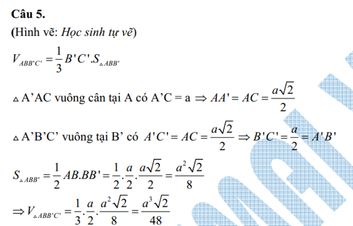 ĐÁP ÁN MÔN VĂN KHỐI D 2012