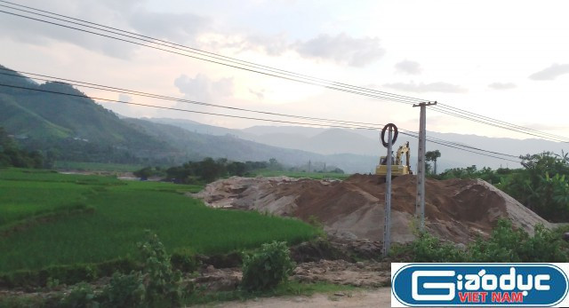 Những cồn cán đang "nuốt chửng" những đám ruộng lúa tốt tươi ven bờ sông Mã. Ảnh: Duy Phong Những cồn cán đang "nuốt chửng" những đám ruộng lúa tốt tươi ven bờ sông Mã. Ảnh: Duy Phong