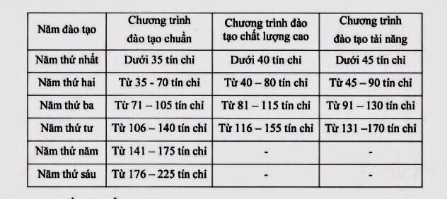 Ảnh chụp màn hình.