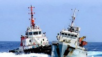 “Hỡi nhân loại, ta yêu người, nhưng hãy cảnh giác” ảnh 4 “Hỡi nhân loại, ta yêu người, nhưng hãy cảnh giác” ảnh 4