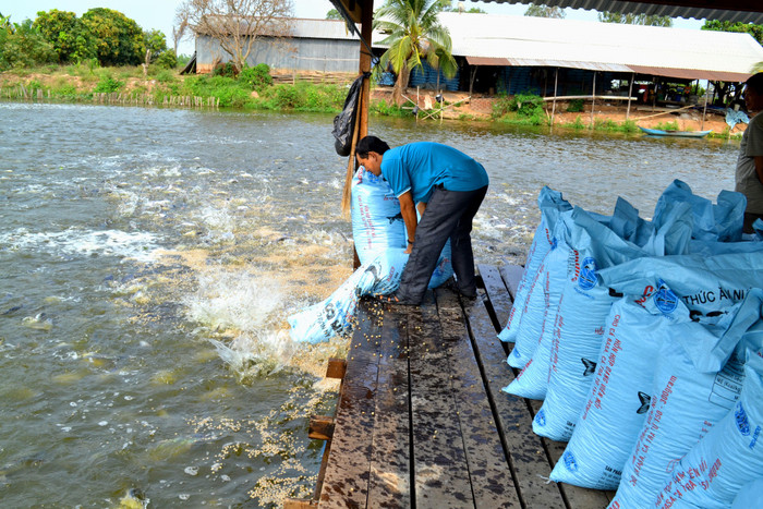 Bắc Kinh đối mặt với nguy cơ mất kiểm soát nền kinh tế ảnh 3 Bắc Kinh đối mặt với nguy cơ mất kiểm soát nền kinh tế ảnh 3