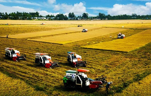 Thủ tướng vừa phê duyệt Đề án lựa chọn, hoàn thiện, nhân rộng mô hình hợp tác xã kiểu mới hiệu quả tại các địa phương trên cả nước giai đoạn 2021 - 2025. Ảnh minh họa: Báo Nhân dân Thủ tướng vừa phê duyệt Đề án lựa chọn, hoàn thiện, nhân rộng mô hình hợp tác xã kiểu mới hiệu quả tại các địa phương trên cả nước giai đoạn 2021 - 2025. Ảnh minh họa: Báo Nhân dân