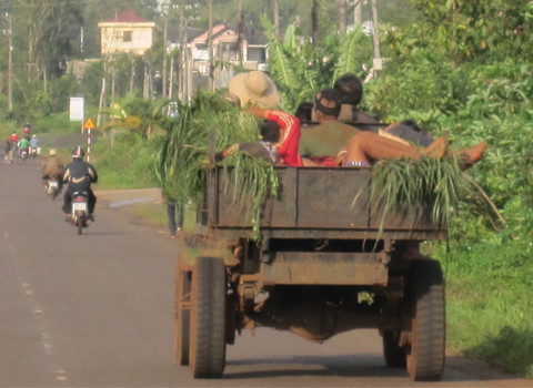 Ngủ trên xe công nông. Chụp vào lúc 17 giờ ngày 25/6 tại Gia Lai. Ảnh: Tùy Phong. Ngủ trên xe công nông. Chụp vào lúc 17 giờ ngày 25/6 tại Gia Lai. Ảnh: Tùy Phong.