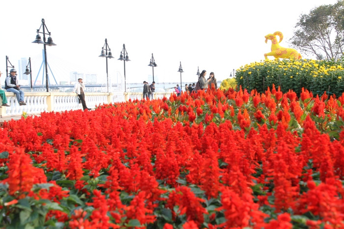 Ven sông Hàn rực rỡ sắc màu... Ven sông Hàn rực rỡ sắc màu...