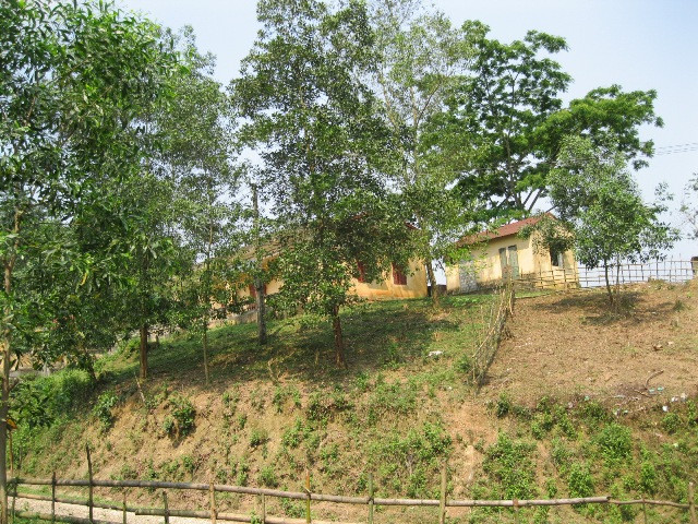 Trường Tiểu học Ngòi Hoa nằm gọn trên một ốc đảo Trường Tiểu học Ngòi Hoa nằm gọn trên một ốc đảo