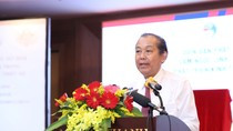 Thủ tướng chỉ đạo một loạt giải pháp để phát triển sâm Ngọc Linh ảnh 2 Thủ tướng chỉ đạo một loạt giải pháp để phát triển sâm Ngọc Linh ảnh 2